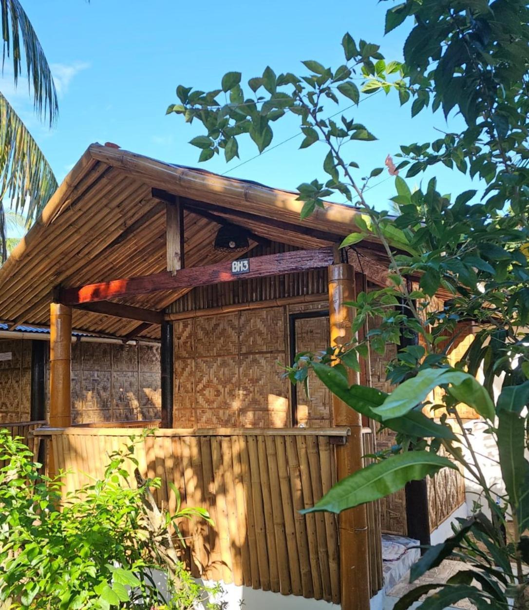 Big Bamboo Beach Resort Sipalay Extérieur photo