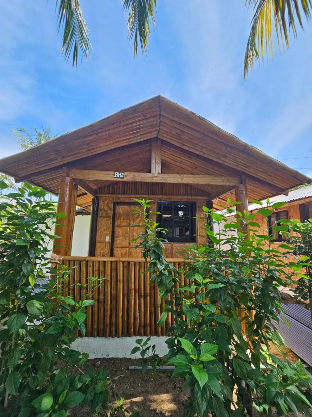 Big Bamboo Beach Resort Sipalay Extérieur photo